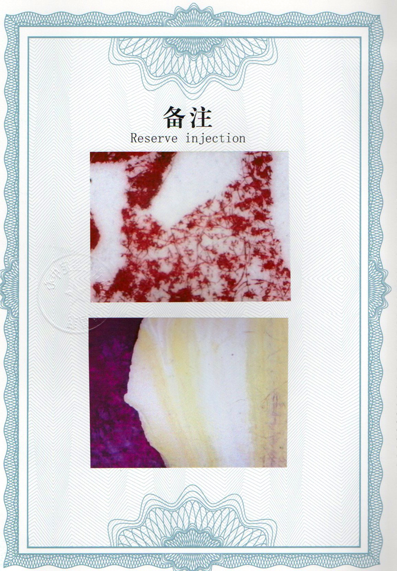 img20240603_11305885.jpg