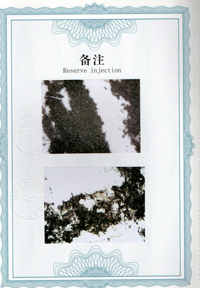 img20240603_11264895.jpg