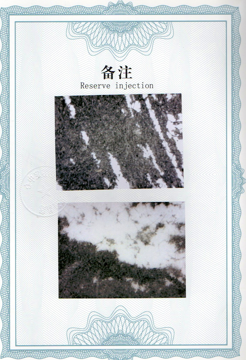 img20240603_13564020.jpg