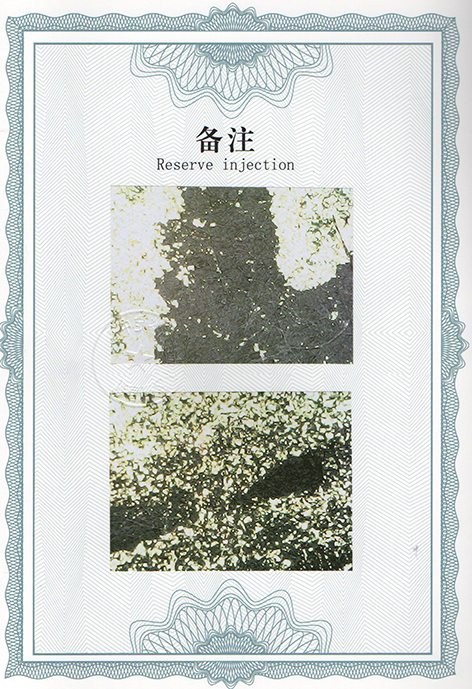 img20240613_13481356.jpg
