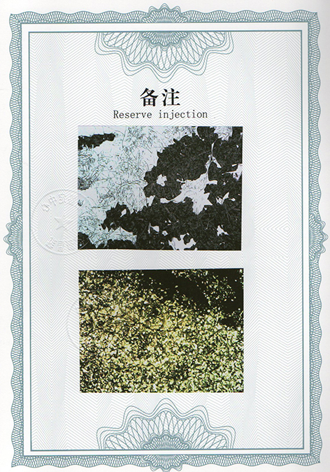 img20240614_17110489.jpg