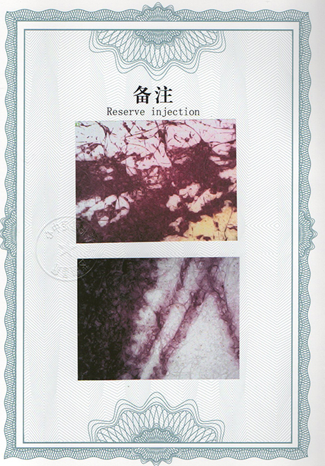 img20240614_17131661.jpg