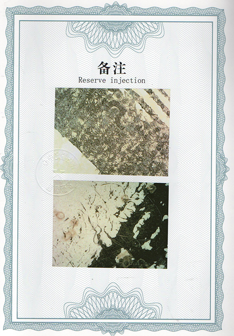 img20240618_14050020.jpg