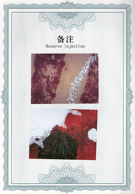 img20240619_16525467_2673.jpg