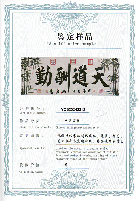 img20240615_09581710.jpg