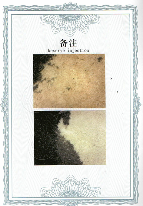img20241214_13295056.jpg