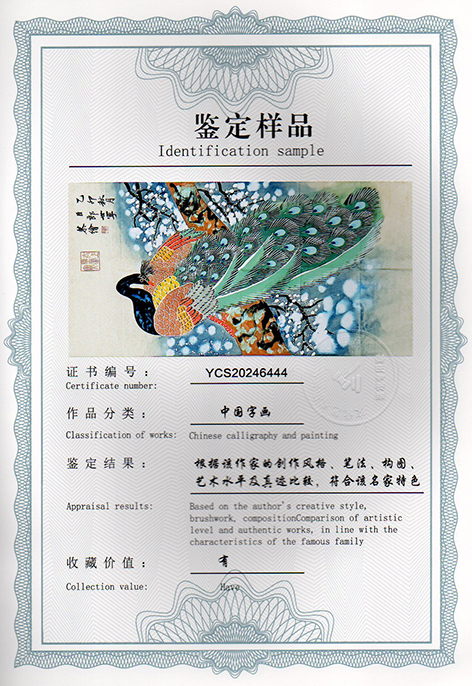 img20241225_16464078.jpg