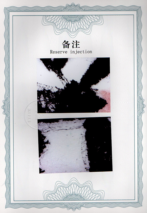 img20241225_17015582.jpg
