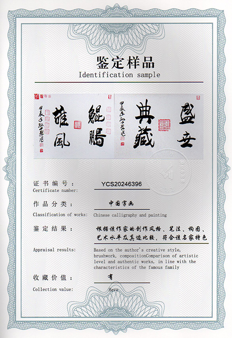 img20241225_17261207.jpg