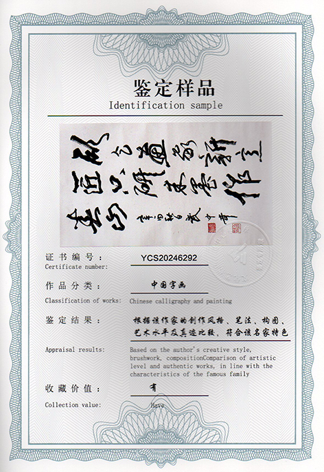 img20241225_17343544.jpg