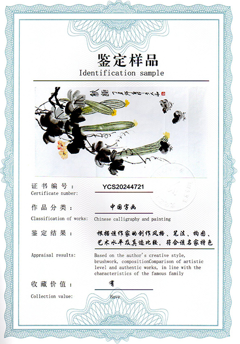 img20241220_11012732.jpg