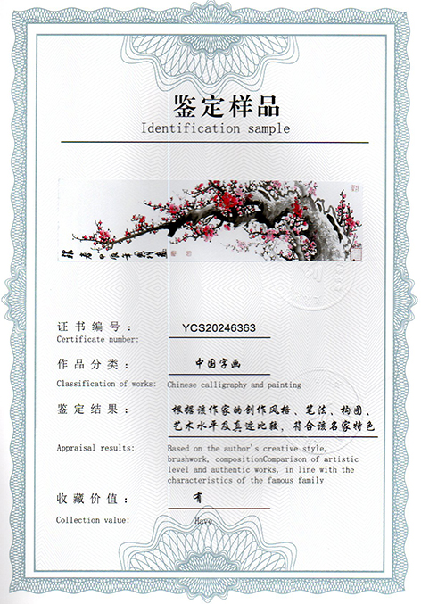 img20241231_16244753.jpg