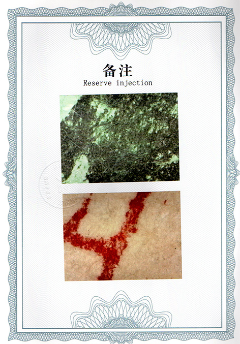 img20241225_14120856.jpg