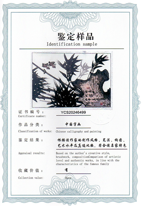img20250114_10343245.jpg