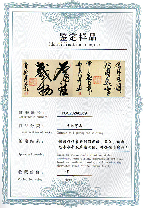 img20250115_10462959.jpg