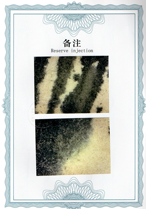 img20250115_10172447.jpg