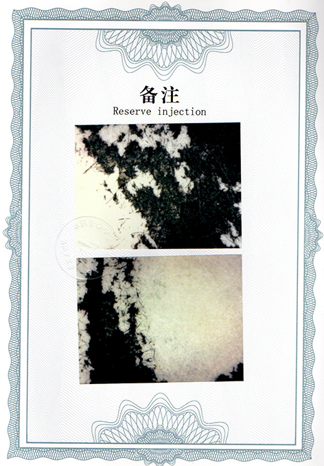 img20250107_15275593.jpg