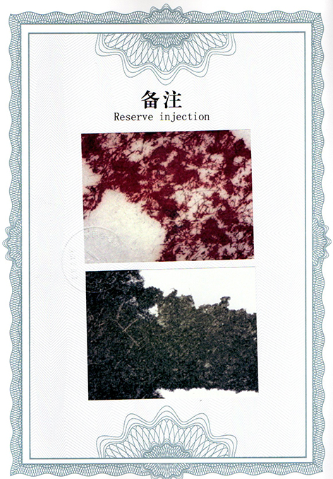 img20250107_15311755.jpg