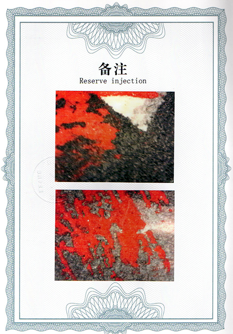 img20250108_14113571.jpg