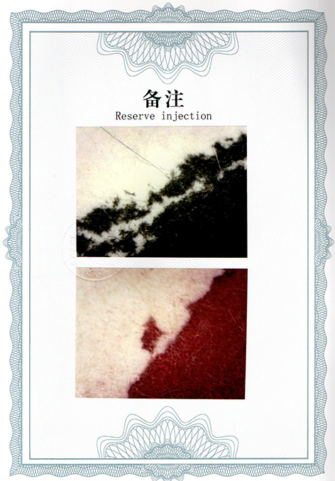 img20250108_14334597.jpg