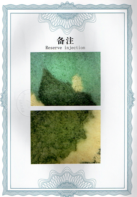 img20250117_15275744.jpg