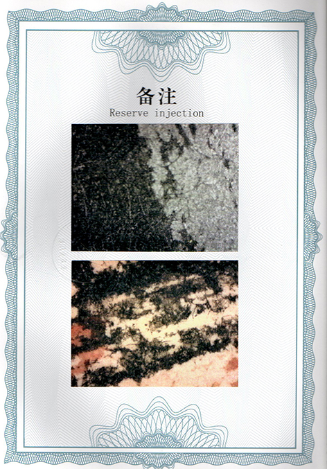 img20250117_14483941.jpg