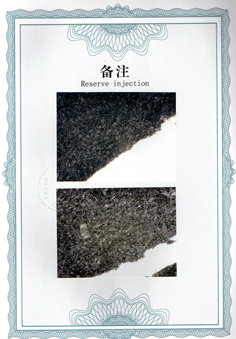 img20250118_10542656.jpg