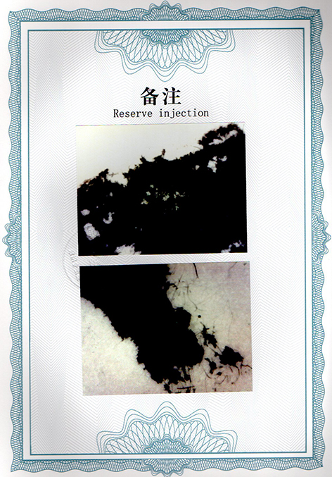 img20250205_13582243.jpg