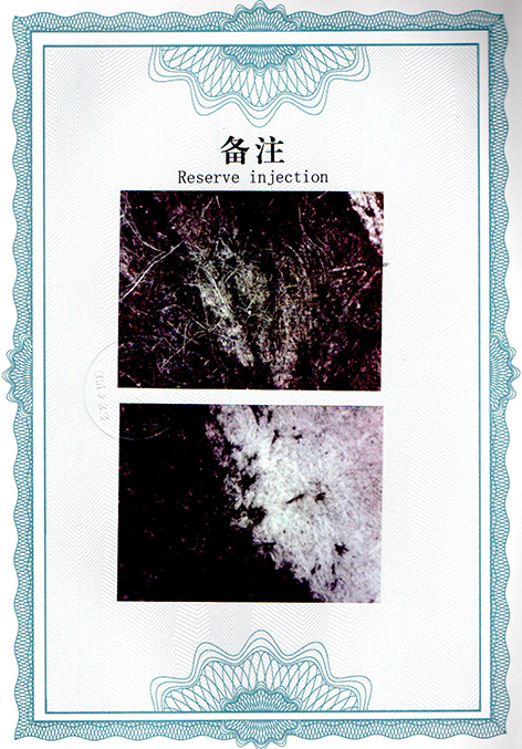 img20250120_13165486.jpg