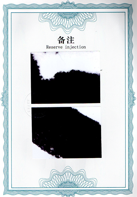 img20250120_13152921.jpg
