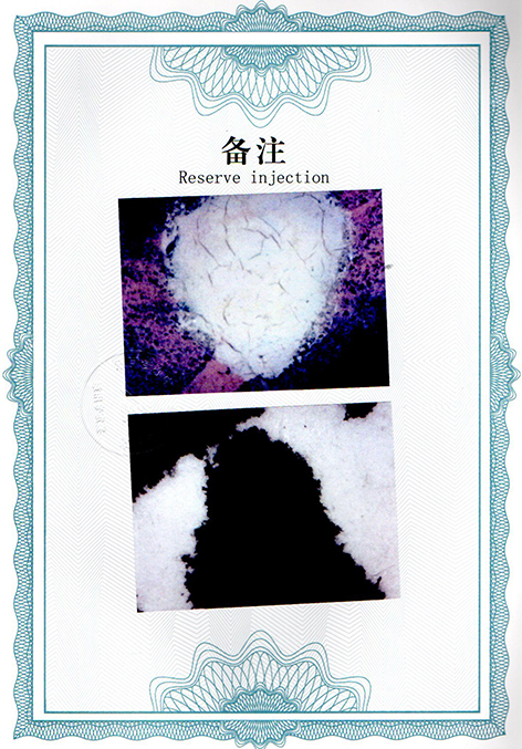 img20250120_12575885.jpg
