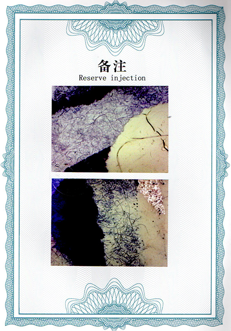 img20250120_12462479.jpg