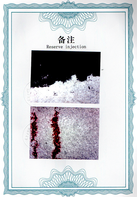 img20250120_12444846.jpg