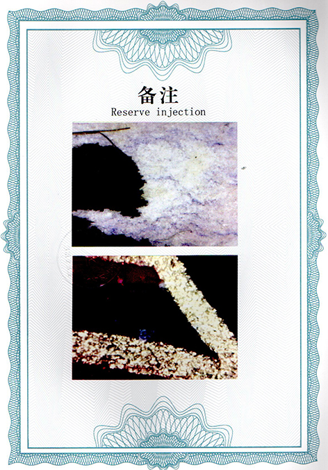 img20250120_12344846.jpg