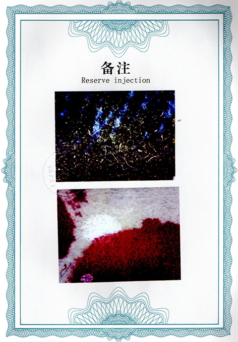img20250120_12250664.jpg