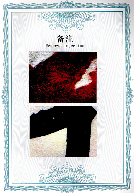 img20250120_12094383.jpg