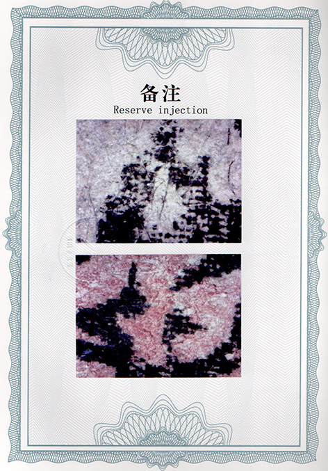 img20241230_14443764.jpg