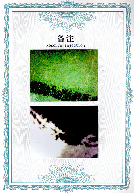 img20250208_15063864.jpg