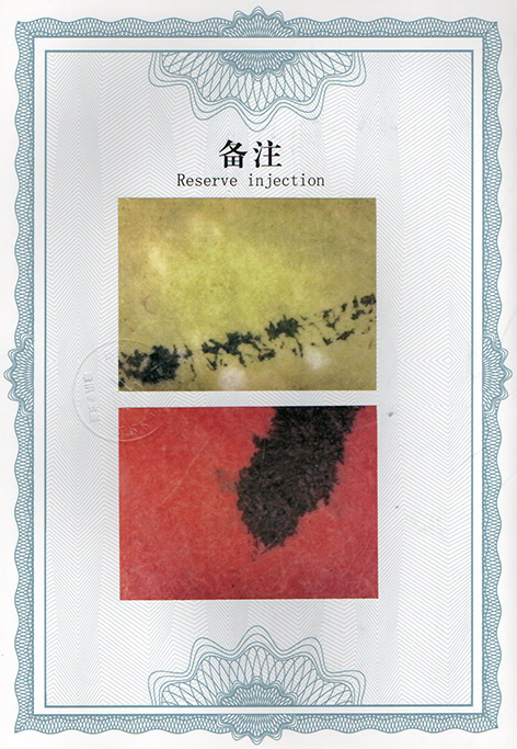 img20250120_15183799.jpg