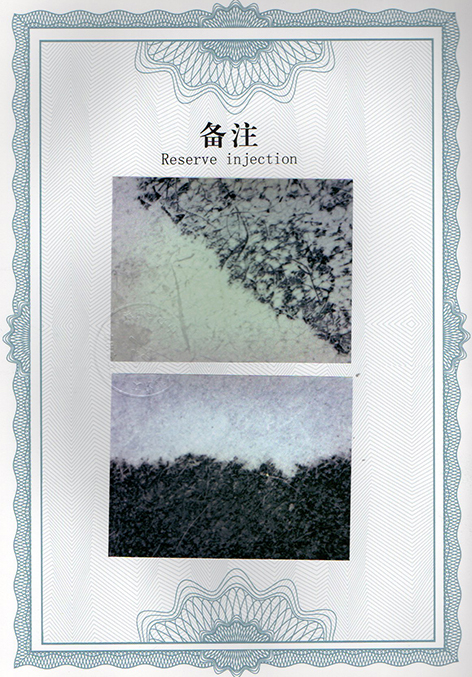 img20250118_10185075.jpg