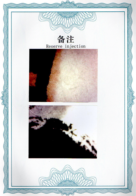 img20250115_16004543.jpg
