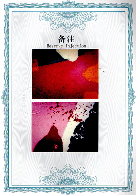 img20250120_16513549.jpg