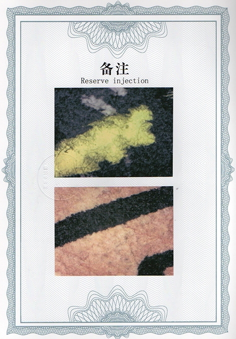 img20250114_15083551.jpg