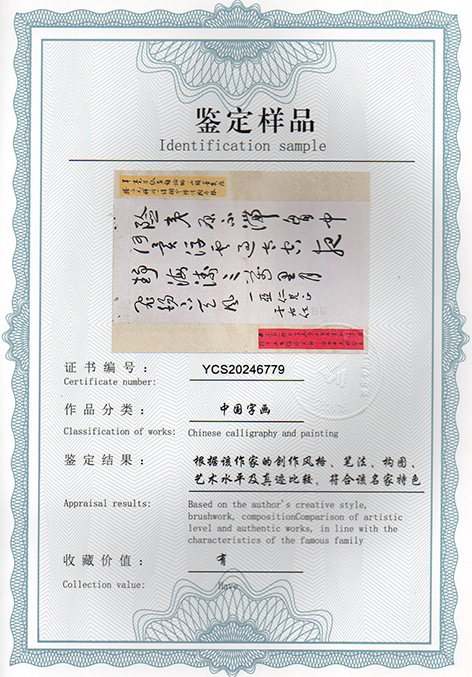 img20250119_17542249.jpg