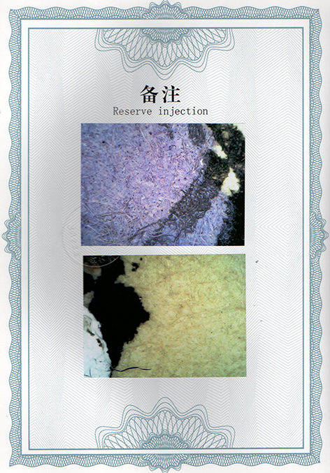 img20250120_09254697.jpg