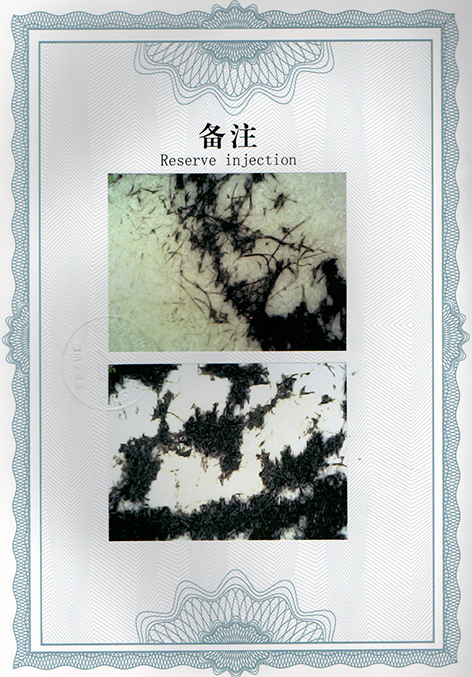 img20250120_10154259.jpg