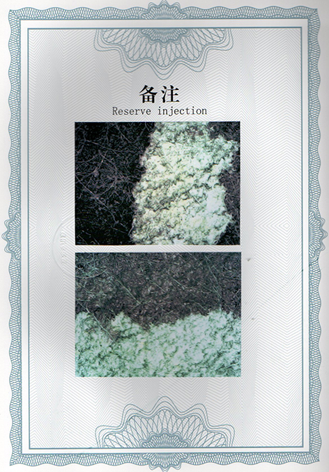 img20250120_10493928.jpg