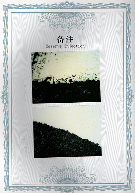 img20250120_10512716.jpg