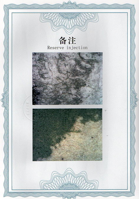 img20250120_11575269.jpg