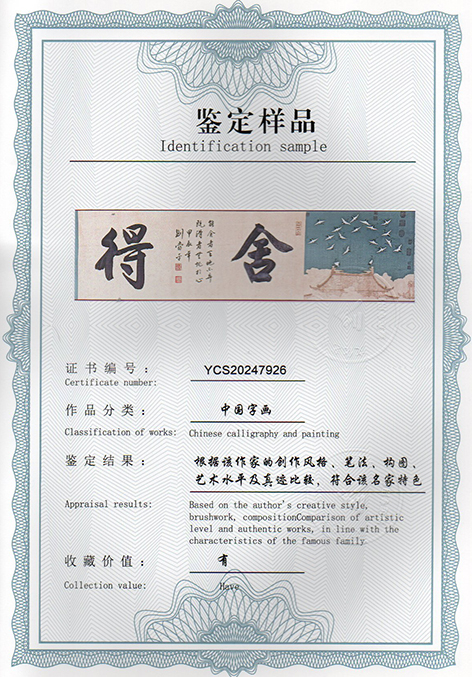 img20250120_11544517.jpg